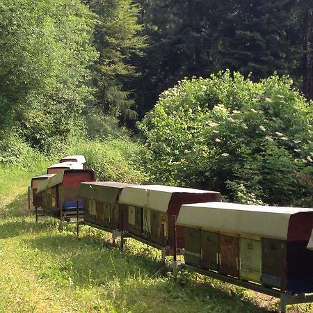 Agriturismo Maso Grener Lavis Zewnętrze zdjęcie