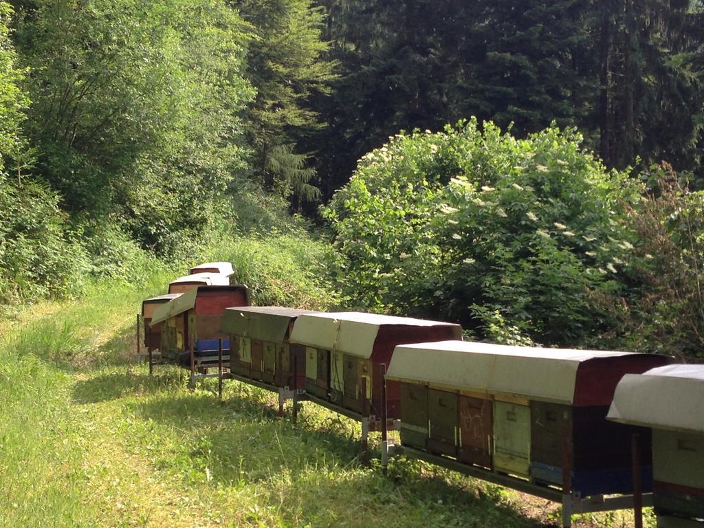 Willa Agriturismo Maso Grener Lavis Zewnętrze zdjęcie